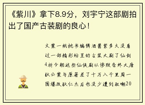《紫川》拿下8.9分，刘宇宁这部剧拍出了国产古装剧的良心！
