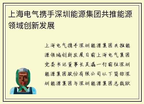 上海电气携手深圳能源集团共推能源领域创新发展