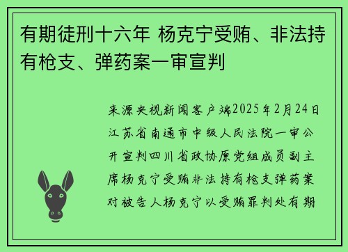有期徒刑十六年 杨克宁受贿、非法持有枪支、弹药案一审宣判