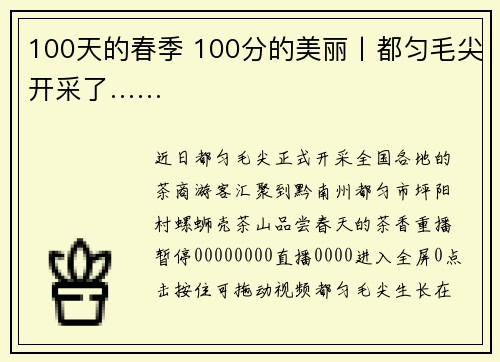 100天的春季 100分的美丽丨都匀毛尖开采了……