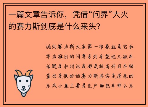 一篇文章告诉你，凭借“问界”大火的赛力斯到底是什么来头？