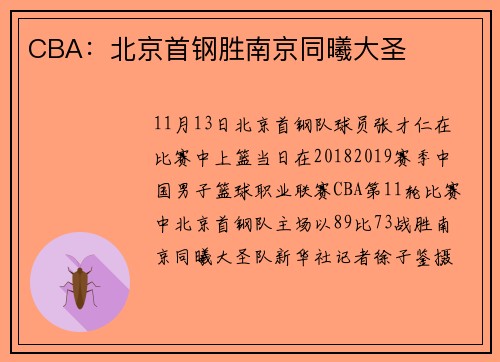 CBA：北京首钢胜南京同曦大圣